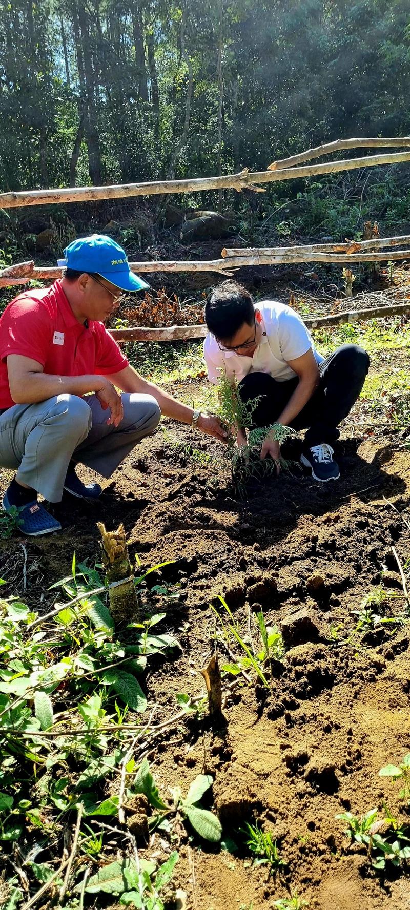 Cán bộ, công chức Ban Dân vận Tỉnh ủy tham gia trồng cây