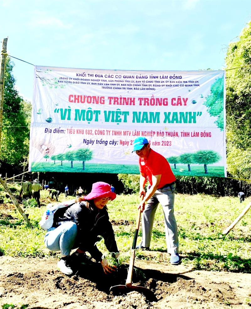 cán bộ, công chức Ban Dân vận Tỉnh ủy tham gia trồng cây