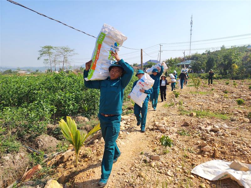 Các lực lượng tham gia tiến hành hỗ trợ người dân tổ dân phố Ryông Sre trồng dâu